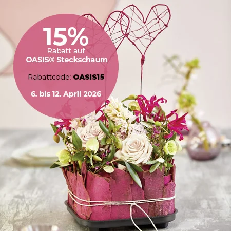 Oasis Steckschaum Aktion